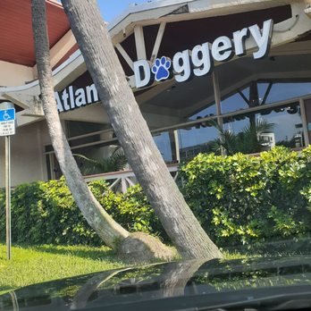 Atlantic Doggery - Front of spa - Pet Groomers Near Me - Pompano Beach, Florida