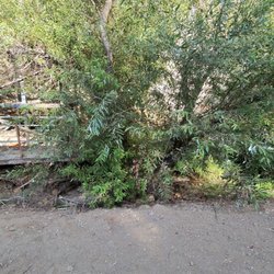 Temescal canyon Trail
