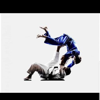 Metro Jiu-Jitsu - Brazilian Jiu-jitsu Near Me - Southgate, Michigan