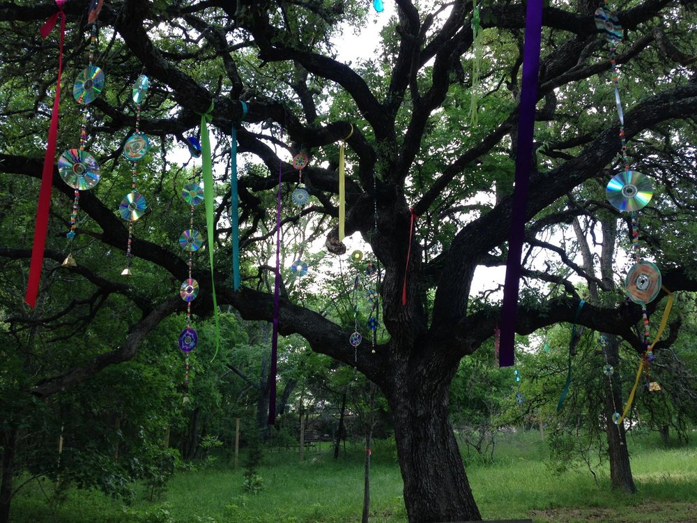 Parkside Community School - childcare center in Austin, TX