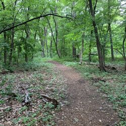 Nature Canyon Park - This is the double track entrance to nature Canyon Park