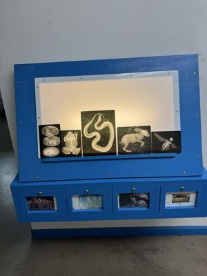 Children's Museum of Stockton by null