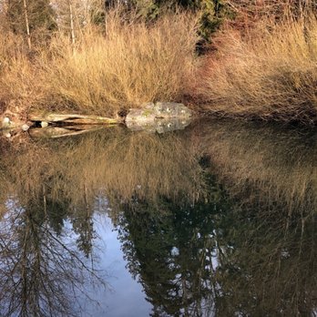 Stanley Park - Parks Near Me - Vancouver, British Columbia Stanley Park - Parks Near Me - Vancouver, British Columbia
