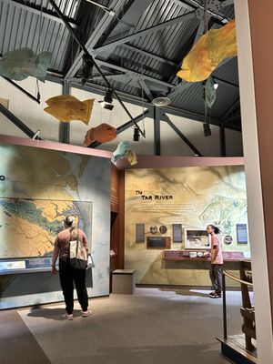 North Carolina Estuarium by null