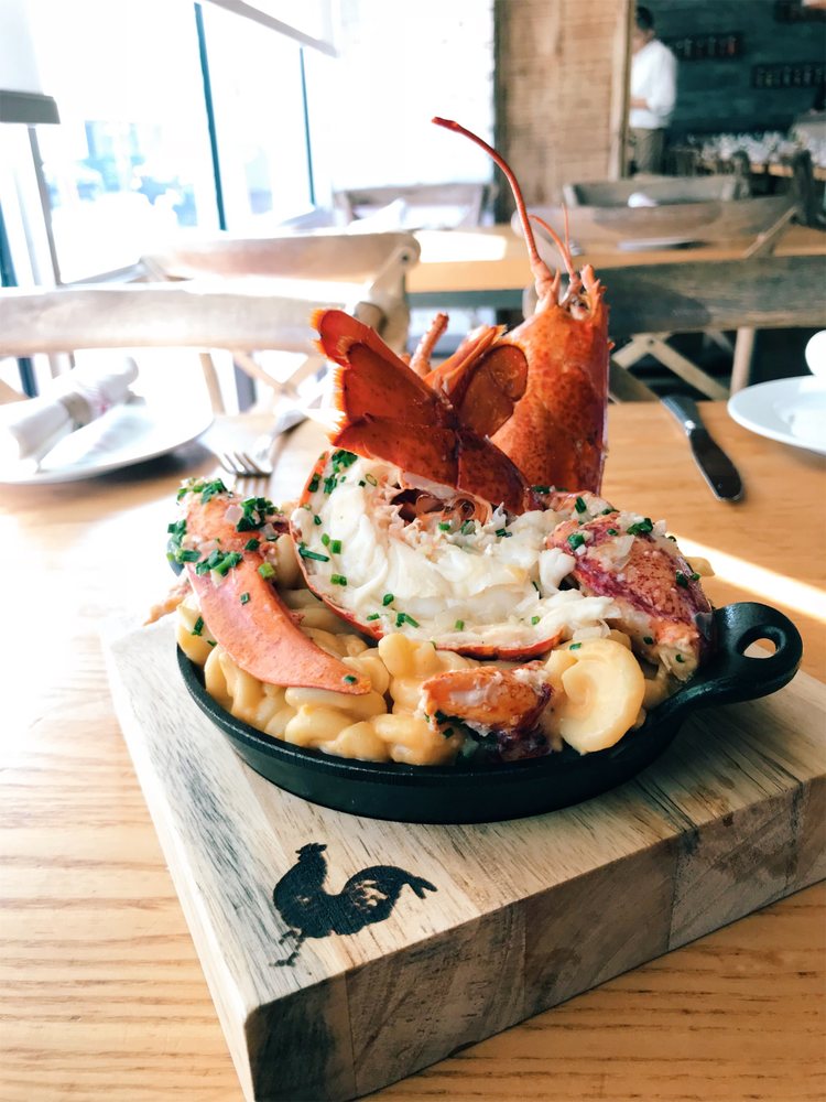 Yardbird