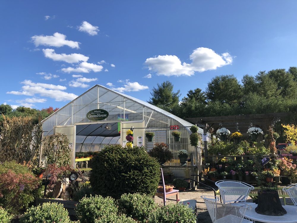 DIROMA HOME AND GARDEN CENTER Updated October 2024 1111 Voluntown