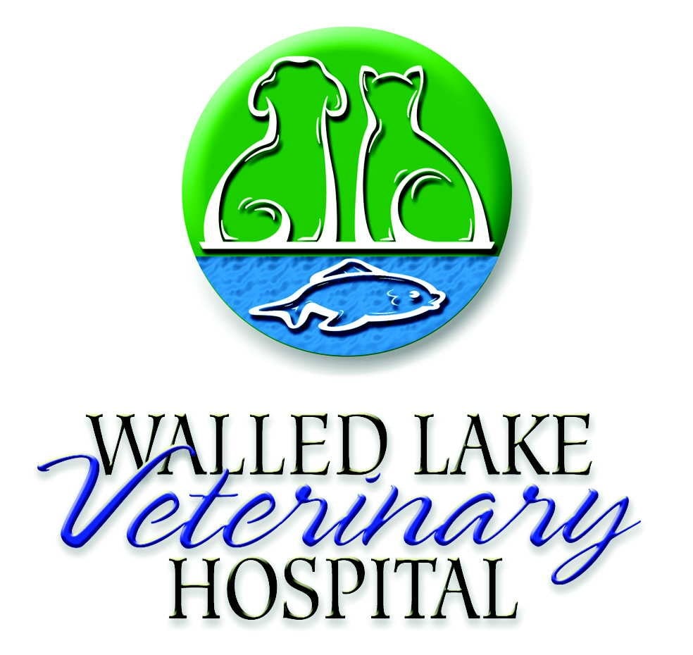 WALLED LAKE VETERINARY HOSPITAL Updated September 2024 20 Reviews