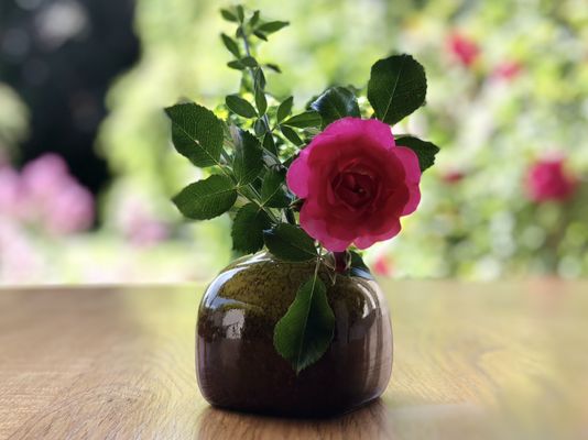 Bon Pinard au petit bonheur by null