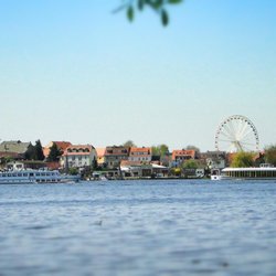 WEISSE FLOTTE Potsdam - Schiffe der WEISSEN FLOTTE Potsdam zum Baumblütenfest in Werder, vor der Insel Werder.