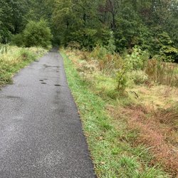 Talley Day Park - Path