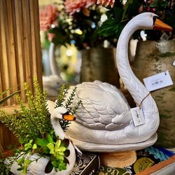 Veranda Bloom - Visit us at 12 E Mesquite Ave Rogers Tx Tuesday-Friday 10:00-5:00 and on Saturday 10:00-4:00 and shop over 10,000 square feet!