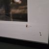 Rodeway Inn Conference Center gift card