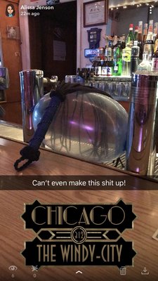 Stella's Tap by null