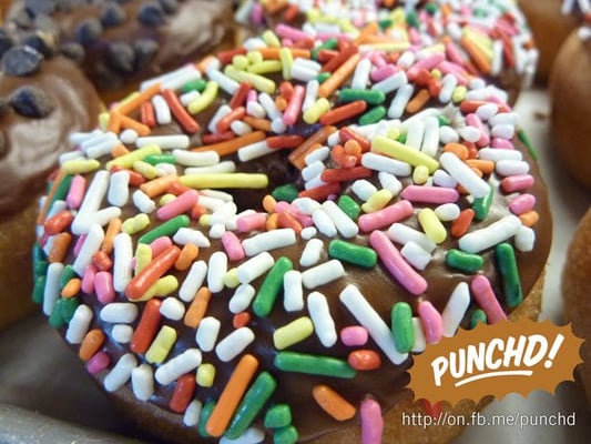 SloDoCo Donuts by null