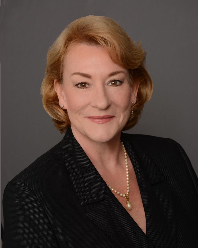 The Wise Law Firm - divorce attorney in Houston, TX