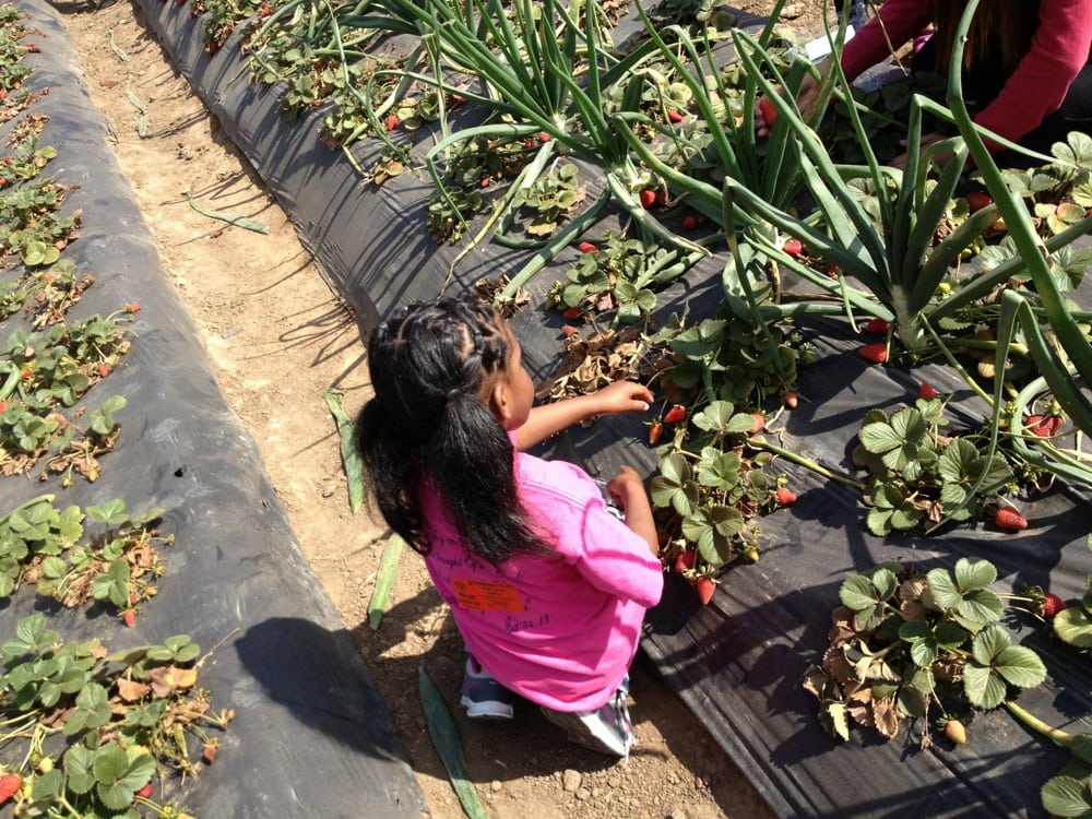 Little Eagles Soaring 4 Excellence Preschool Daycare - childcare center in Long Beach, CA