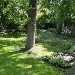 Almeida Lawn Care Services