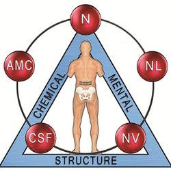 Paul Finucan, DC - Applied Kinesiology will find the cause of your health concerns and help you heal fast!