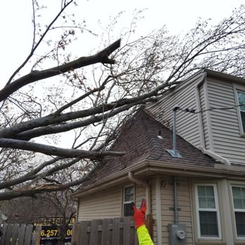 Eli's Tree Services - Tree Services Near Me - Independence, Missouri Eli's Tree Services - Tree Services Near Me - Independence, Missouri
