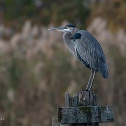 Overpeck County Park