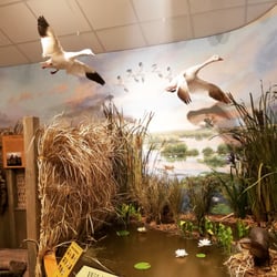 Creole Nature Trail Adventure Point - Exhibit