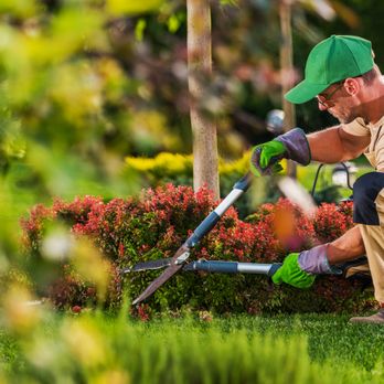 Nelson's Irrigation & Landscaping - Landscaping Near Me - Winston Salem, North Carolina Nelson's Irrigation & Landscaping - Landscaping Near Me - Winston Salem, North Carolina