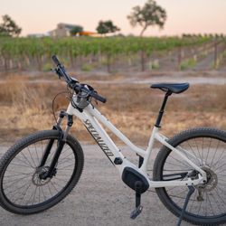 VineCycle Tours - State of the art Specialized pedal assist eBikes for each guest
