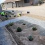 CN Innovations Landscaping