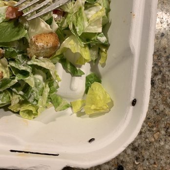 Kickstand - Crawling bugs in one of the salads. - Bars Near Me - Cedar Rapids, Iowa