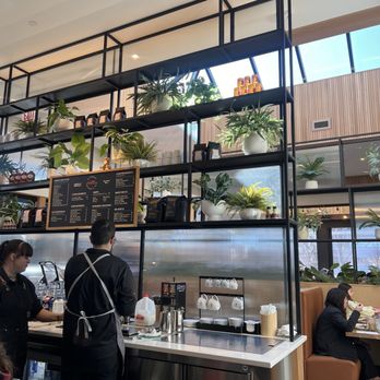 Wildberry - Breakfast & Brunch Near Me - Oak Brook, Illinois