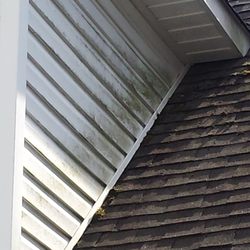 Gutter Cleaners of Cleveland Elite