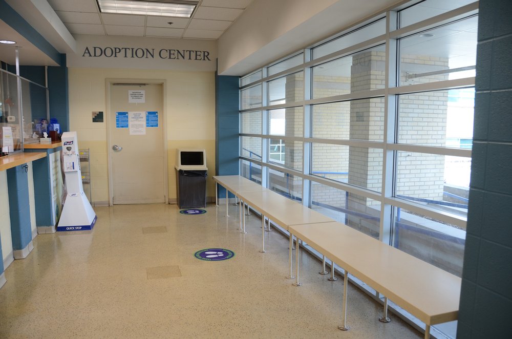 HUMANE SOCIETY OF MISSOURI 34 Photos & 38 Reviews 1201 Macklind Ave