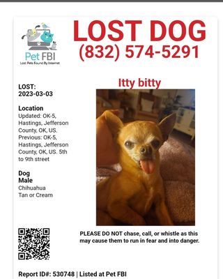 Humane Society Animal Shelter