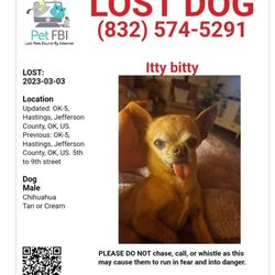Humane Society Animal Shelter - I am searching  for my baby