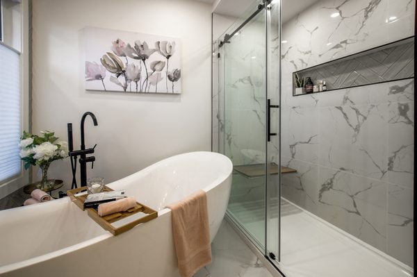 Silver Ranch Plumbing and Drain Logo