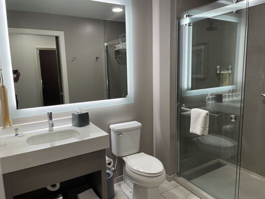 Hyatt Regency Atlanta Perimeter at Villa Christina by null