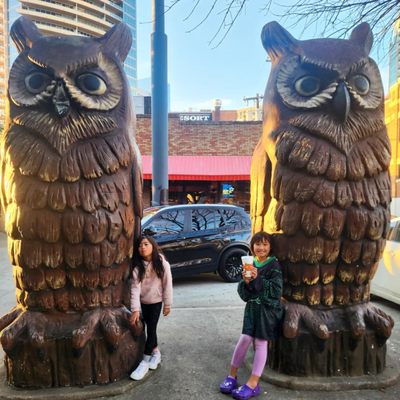 Hooters by null