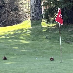 BIJOU MUNICIPAL GOLF COURSE 16 Photos 29 Reviews 3464 Fairway Ave