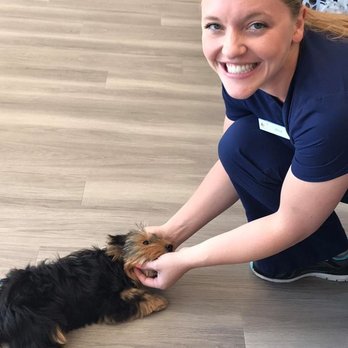 Forever Vets Animal Hospital of Murabella Parkway - Veterinarians Near Me - St. Augustine, Florida Forever Vets Animal Hospital of Murabella Parkway - Veterinarians Near Me - St. Augustine, Florida
