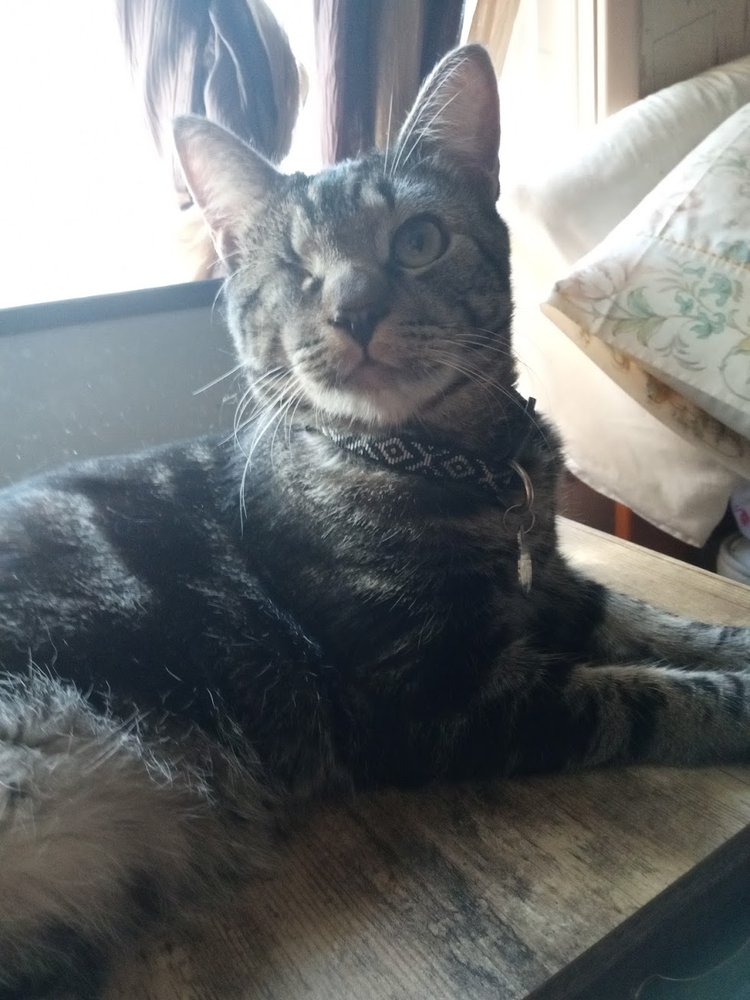 GRANDE RONDE ANIMAL HOSPITAL Updated October 2024 2400 Adams St, La