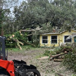 Cleaned up a tree fallen on our home. Excellent Job