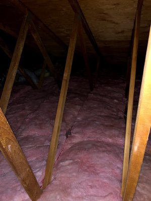 ATTIC BRIGHT - Updated January 2026 - 20 Photos & 25 Reviews - 1300 ...