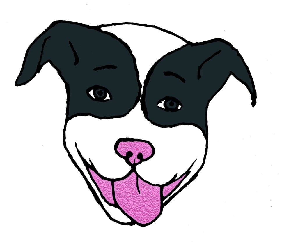 Kandi's K9 Doggie Daycare - pet boarding facility in San Diego, CA