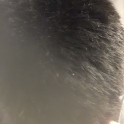 United Barber