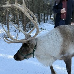 Fairbanks Alaska Tours - "IKE" is the bomb