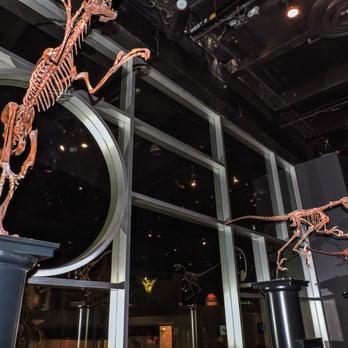 Royal Tyrrell Museum - Museums Near Me - Drumheller, Alberta