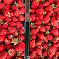 Strawberry Stand - Going to make some jam!