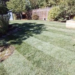 I.C. Garden Services