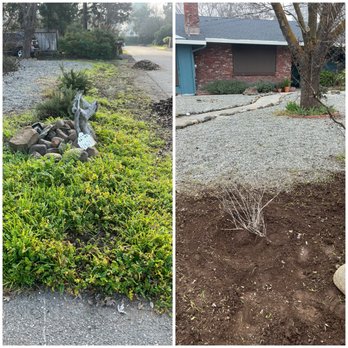 Trueroot Yard - Landscaping Near Me Trueroot Yard - Landscaping Near Me