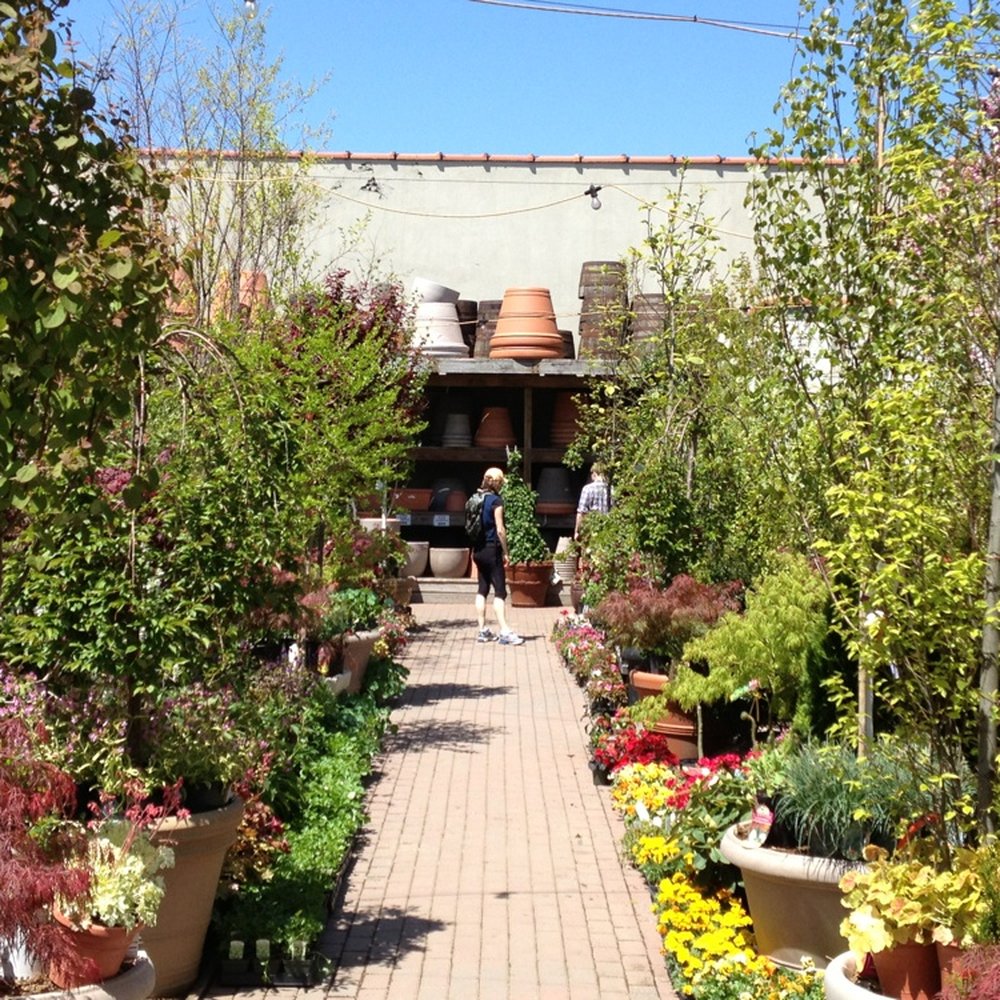 Chelsea Garden Center - Red Hook - Nurseries & Gardening Near Me - Brooklyn, New York Chelsea Garden Center - Red Hook - Nurseries & Gardening Near Me - Brooklyn, New York